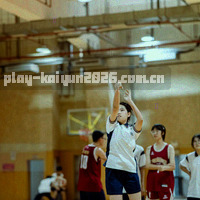 德甲球队徽标组合